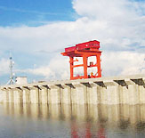 butterflies-are-gross